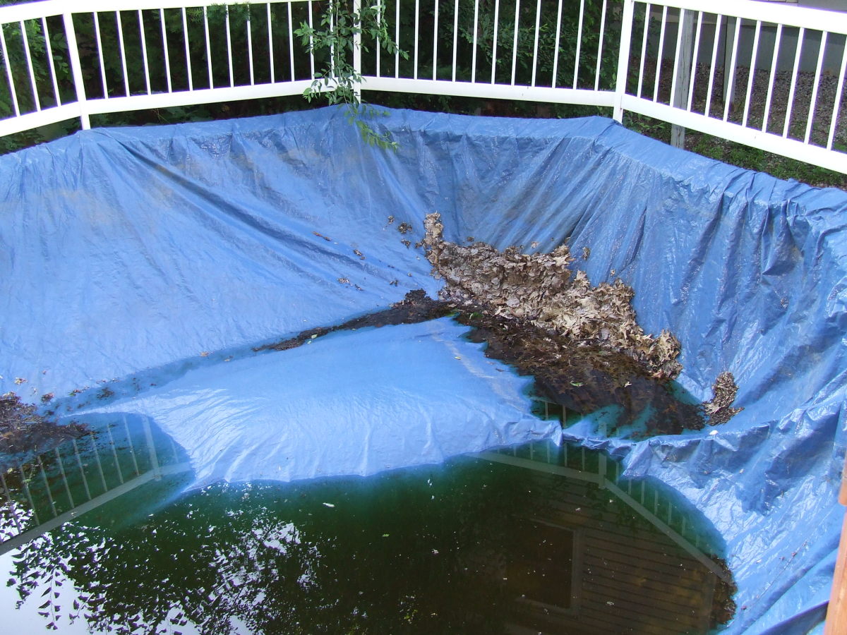 How to Open an Inground Swimming Pool Dengarden