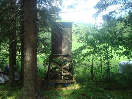 Hunters wait inside this to shoot deers