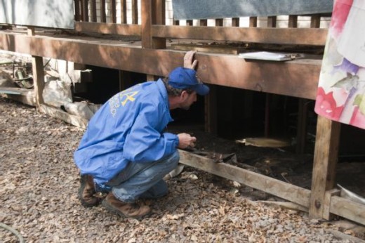 An inspector checking the crawl space of a home after a flood.