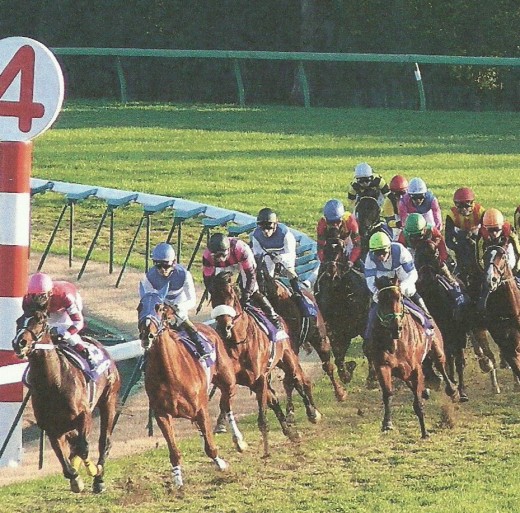 A full field of Thoroughbreds bend around the turn.
