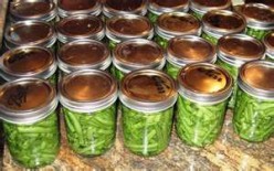 Canning Grean Beans