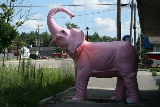 Museum of Charging Elephants?  Color them Pink when they embarass themselves this way.