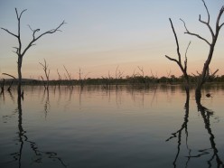 http://s2.hubimg.com/u/5341229_f248.jpg