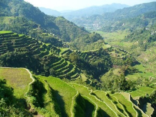 Banaue Rice Terraces