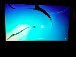 https://usercontent1.hubstatic.com/5348960_f260.jpg