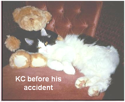 KC before his accident