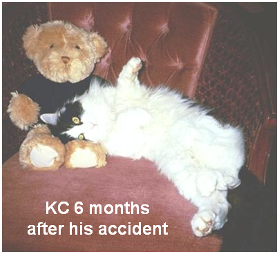KC 6 months after his accident