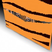 willywalt profile image