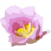 Sagelily profile image