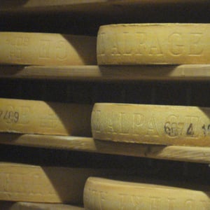 Gruyere being stored at the makers.