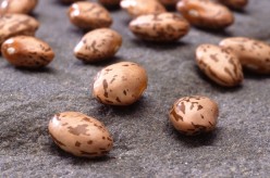 How to Presoak Black Beans and Pinto Beans