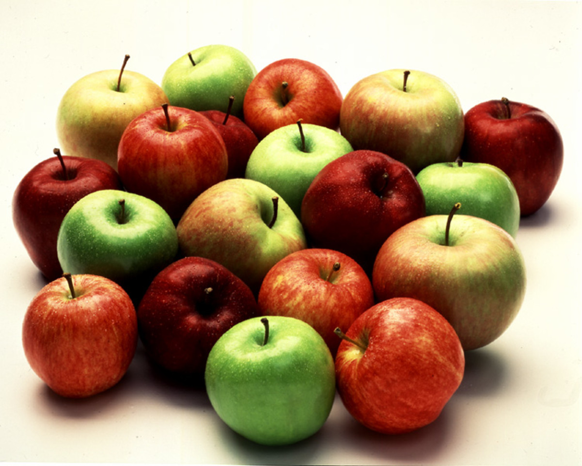 easy-method-for-preserving-fresh-apples-hubpages