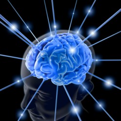 http://s2.hubimg.com/u/5372925_f248.jpg