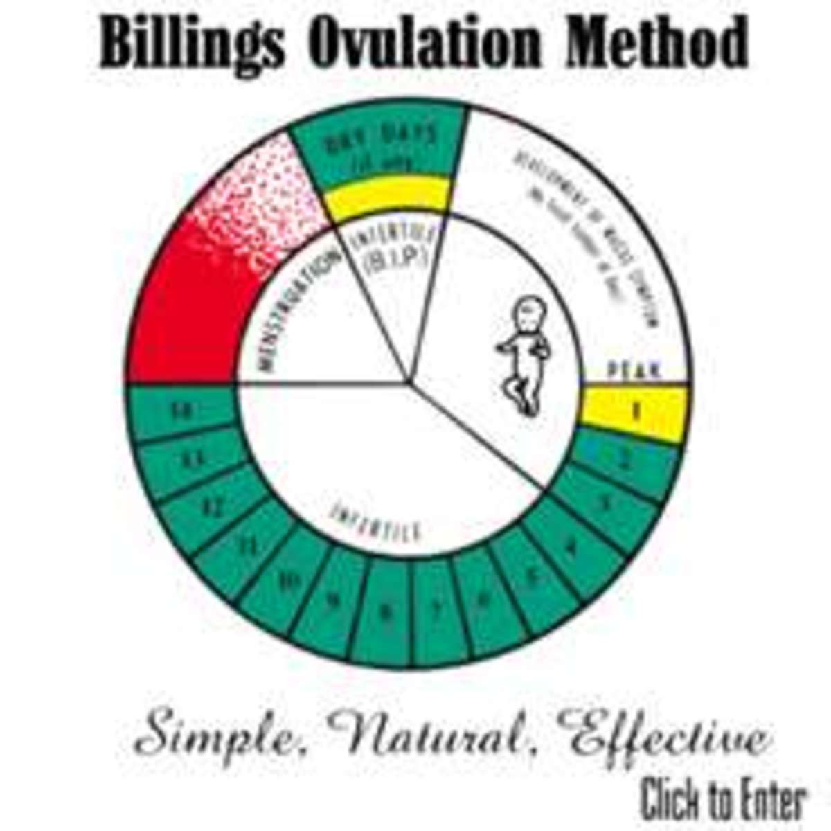 Ovulation Tracking Chart Printable
