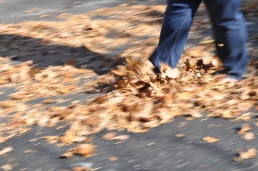 Take off your shoes and let the leaves crunch under your feet. It might set the ideas in motion.