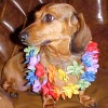 winniebelle777 profile image