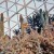 Arid dome Arid dome
