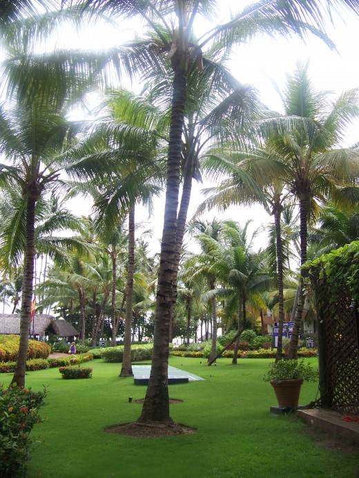 Punta Cana, Dominican Republic: Breathtaking landscape