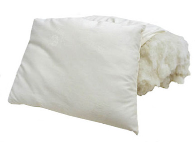 Organic Wool Pillows