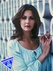 THE GORGEOUS LYNDA CARTER THE GORGEOUS LYNDA CARTER