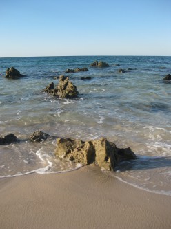 http://s3.hubimg.com/u/5402966_f248.jpg