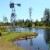 A pond filled with fish for kids to go fishing. A pond filled with fish for kids to go fishing.