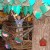 Marco asserting his dominance in the tree house. Marco asserting his dominance in the tree house.