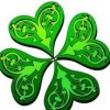 clover-2011 profile image