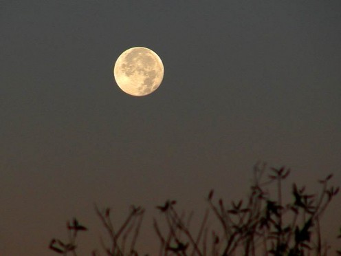 The perfect scary moon.