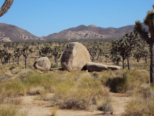 I see more boulders and Joshua trees as I go for a hike.