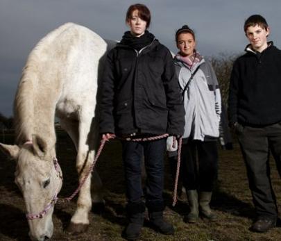Can horse therapy help troubled teens? A 17-year-old girl, not pictured, accused of robbing pupils at knifepoint  was sent on a three-month riding course