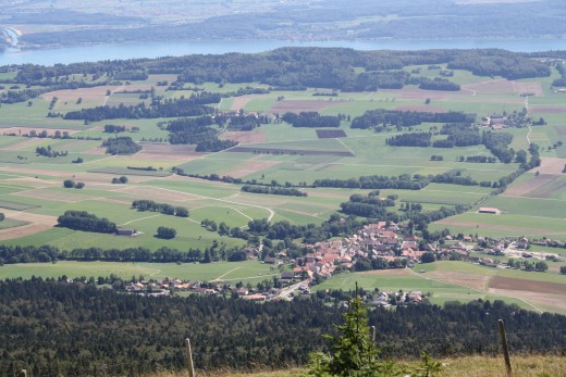 Chasseral, Switzerland - Panorama of 3 Lakes, Forest and Alp Mountains