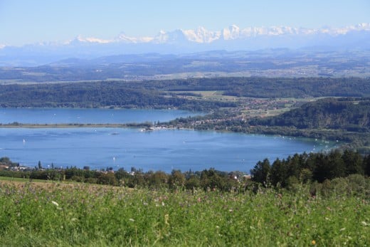 Chasseral, Switzerland - Panorama of 3 Lakes, Forest and Alp Mountains