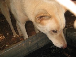 http://s4.hubimg.com/u/5457615_f248.jpg