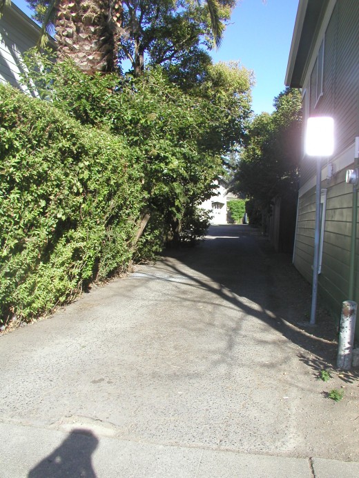 Alley way behind the house.  the house is just to the left of the hedge row.