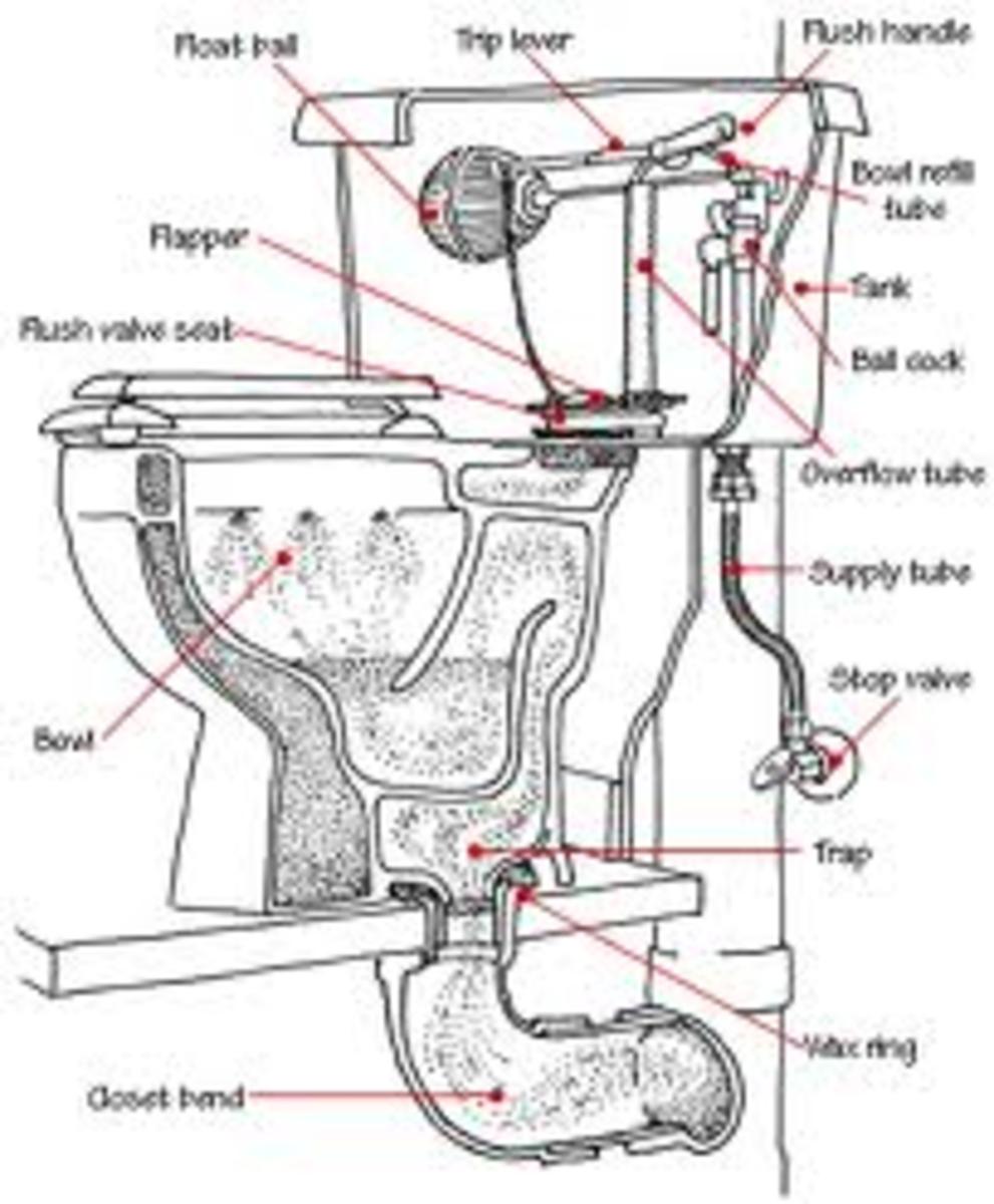 Toilet bowl diagram