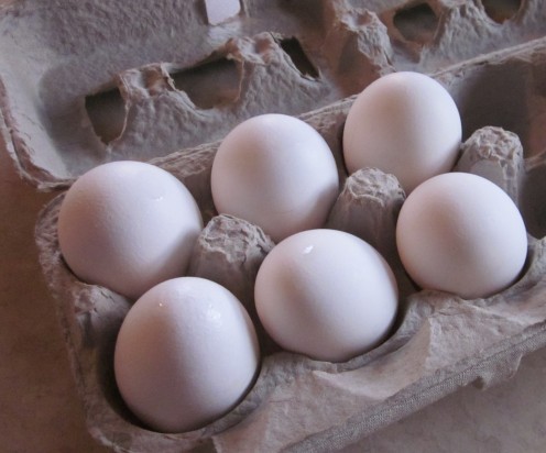 Use Fresh Eggs