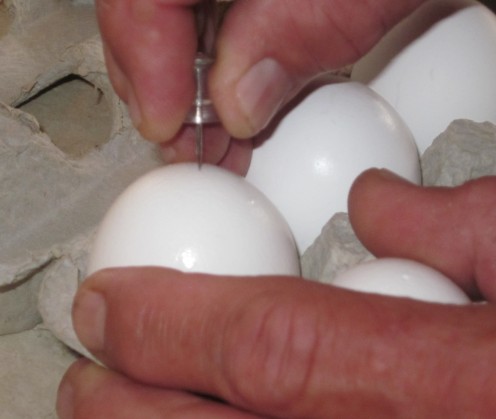 Poke the fat end of the egg 