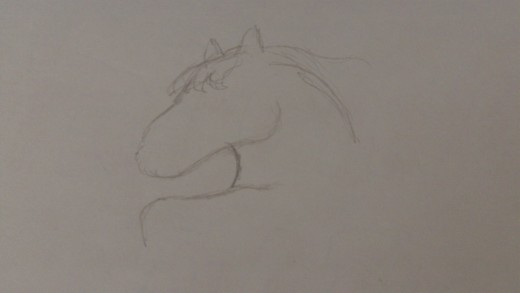 Drawing the neck and a portion of the front leg.