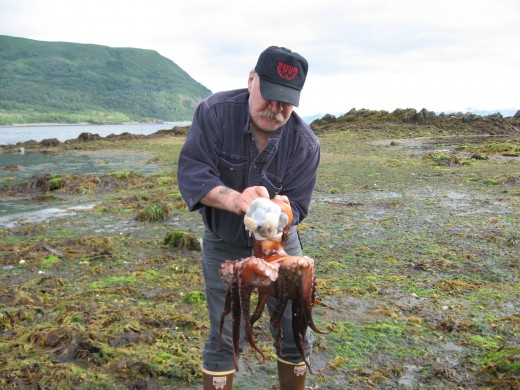Terminating an octopus.