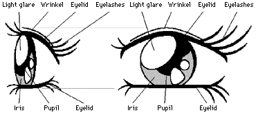 One Style Of Manga Eyes