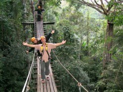 Flying High in Chiang Mai - A Ziplining Adventure