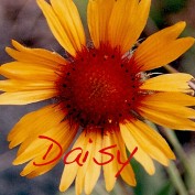 Daisy Buchanan profile image
