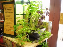 Healthy Herbs/Growing Greens at Home