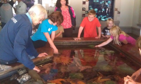 Children can get hands on at this tidal pool at the Oregon Coast Aquarium