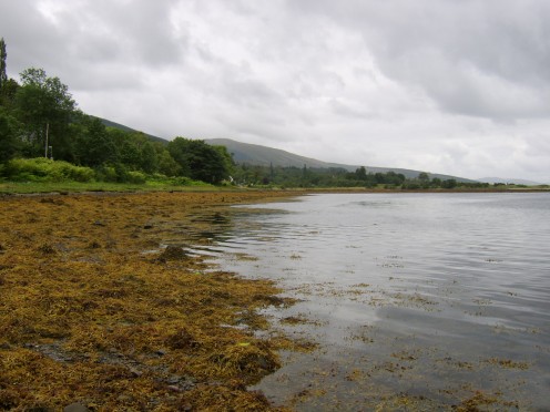 Tide times will almost certainly have a huge bearing on your fishing trip, from shore or from boat