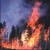 slash-and-burn agriculture slash-and-burn agriculture