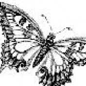 latenightowl29 profile image