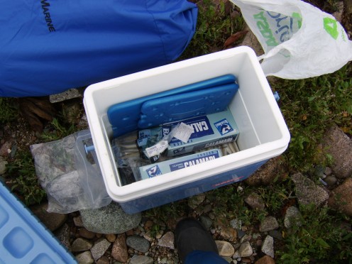 Bait will have to be arranged for your fishing trip and a practical means of transport and storage determined
