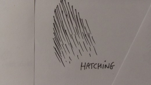 Ink hatching technique.